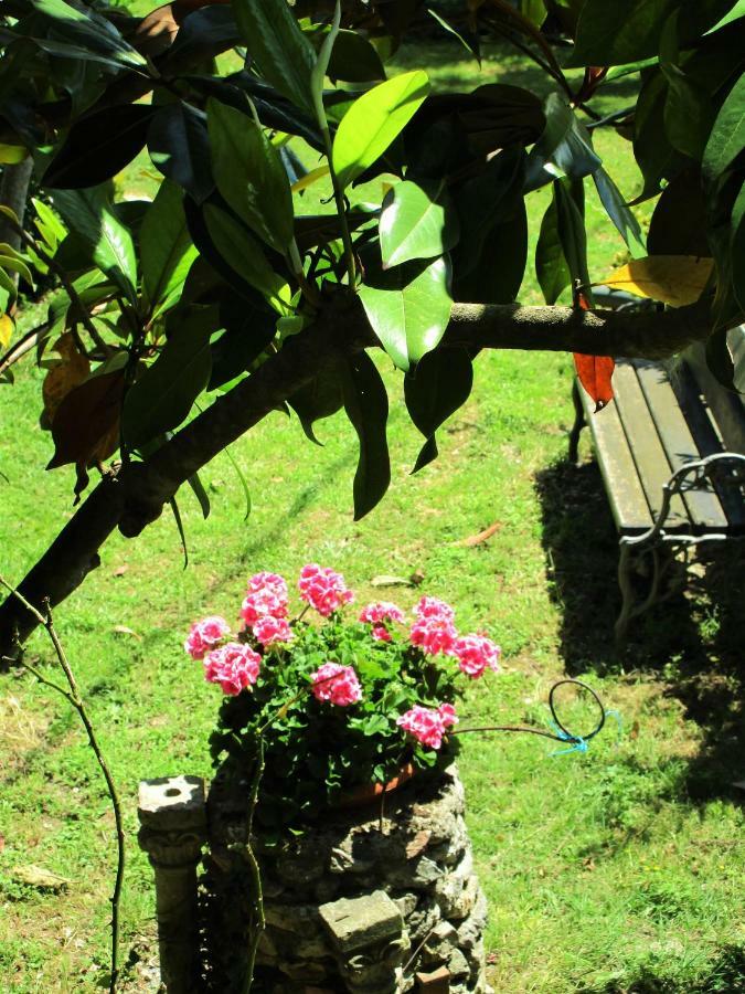 B&B Carboni Penna San Giovanni Extérieur photo