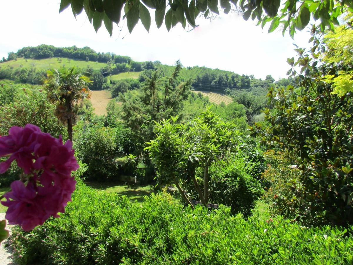 B&B Carboni Penna San Giovanni Extérieur photo