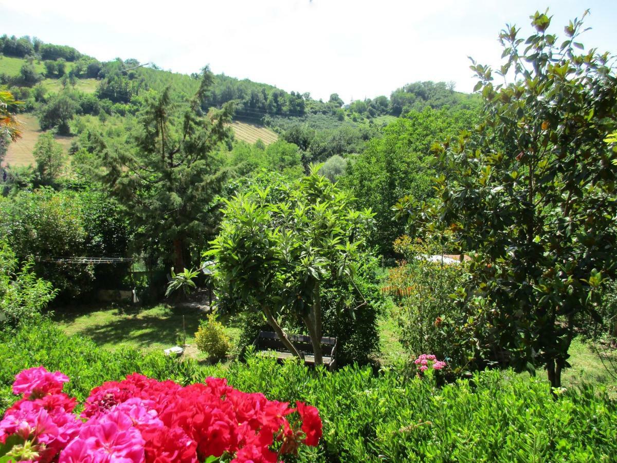 B&B Carboni Penna San Giovanni Extérieur photo
